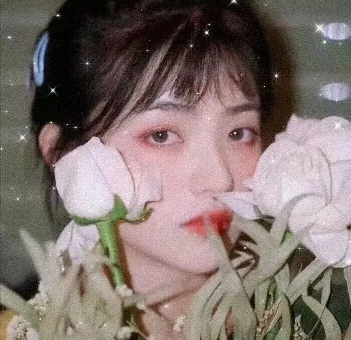 我的第一先生